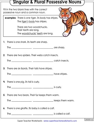 Identify the Singular and Plural Possessive Nouns Worksheet